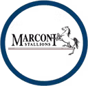 Marconi Stallions