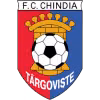Logo của Chindia Targoviste (W)