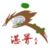 Logo của Chongqing Qingyun
