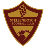 Logo của Stellenbosch FC