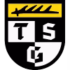 Logo của TSG Balingen