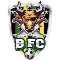 Logo của Bucaneros de Zitacuaro FC