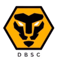Logo của Dwivedi Brothers