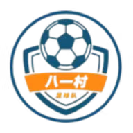 Logo của Shanghai Jinshanwei Bayi Village Football Team