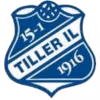 Logo của Tiller