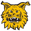 Logo của Ilves U20