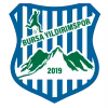 Logo của Bursa Yıldırımspor