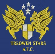 Logo của Treowen Stars