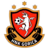 Logo của HNK Gorica W