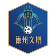 Logo của Dezhou Team