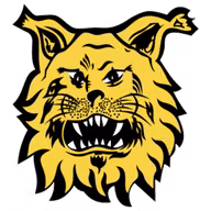 Logo của Ilves Tampere II