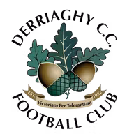 Logo của Derriaghy FC
