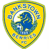 Logo của Canterbury Bankstown FC