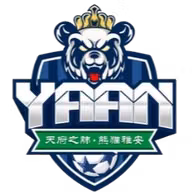 Logo của Yaan Team