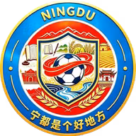 Logo của Ningdu Team