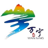 Logo của Wanning Team