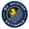 Logo của Dnister Zalishchyky