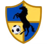 Logo của Racing United