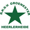 Logo của Groene Ster