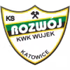 Logo của Rozwoj Katowice