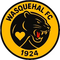 Logo của Wasquehal