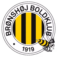 Logo của Bronshoj