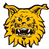 Logo của FC Ilves U21