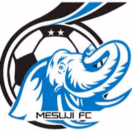 Logo của Mesuji FC