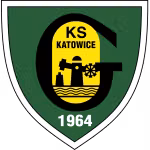 Logo của Katowice
