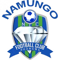 Logo của Namungo FC