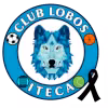 Logo của Lobos ITECA