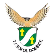 Logo của Sokol Dobsice