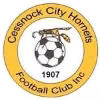 Logo của Cessnock City Hornets FC Reserves