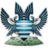 Logo của Salisbury City
