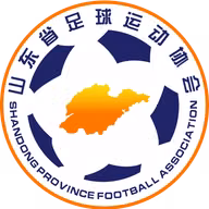 Logo của Shandong U20