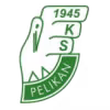 Logo của Pelikan Lowicz
