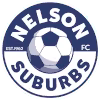 Logo của Nelson Suburbs