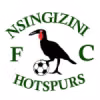 Logo của Nsingizini Hotspurs