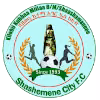 Logo của Shashemene Ketema