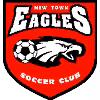 Logo của New Town Eagles