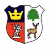 Logo của Cinderford