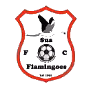 Logo của Sua Flamingoes