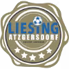 Logo của Liesing Atzgersdorf