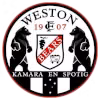 Logo của Weston Workers Reserves