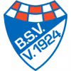 Logo của Brinkumer SV
