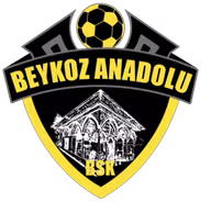 Logo của Beykoz Anadolu