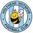 Logo của Holyhead