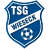 Logo của Wieseck U19