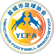 Logo của Yancheng U16 W