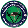 Logo của Negele Arsi